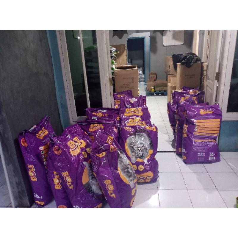 pakan kucing bolt