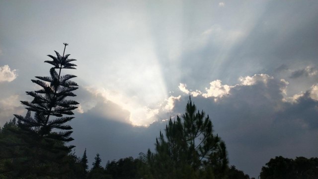 Fleco 116 Timbangan Digital Laundry / Buah / Bahan Makanan 30 Kg