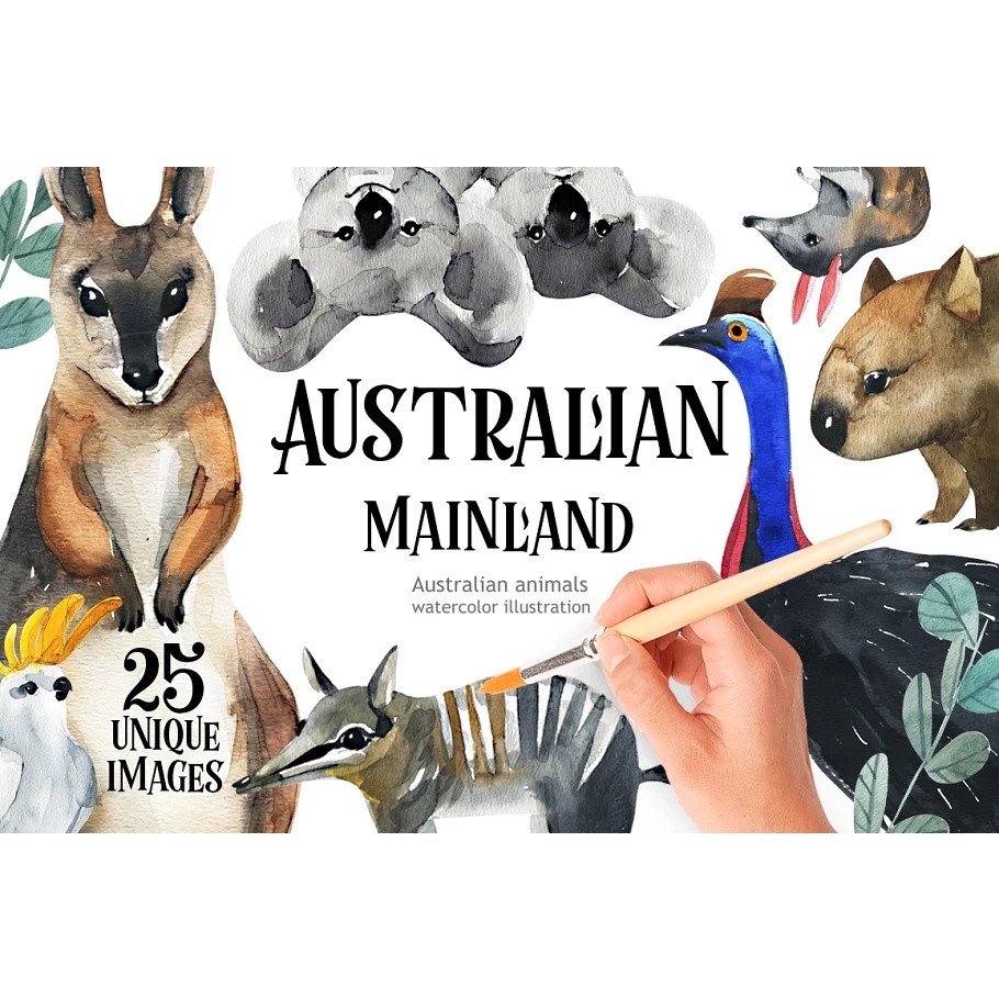 Australian Mainland Illustration Set