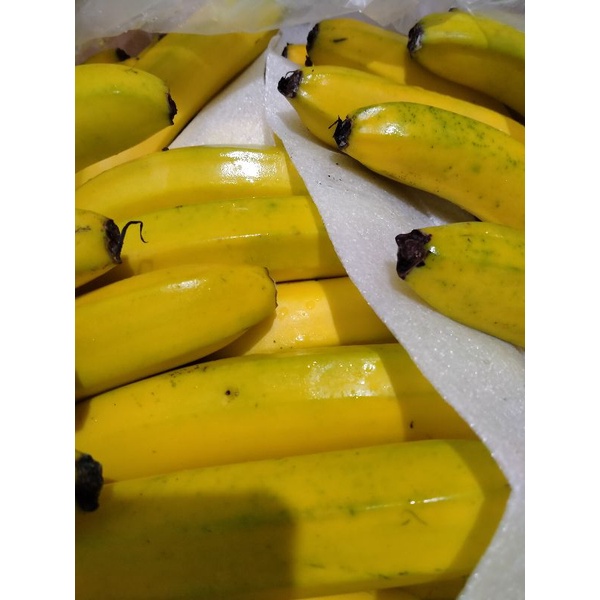 

Pisang Sunpride 1 kg