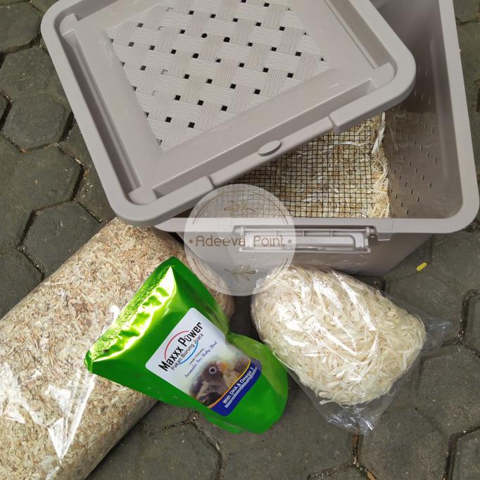 Silahkan Order] Paket Lolohan Burung Lovebird