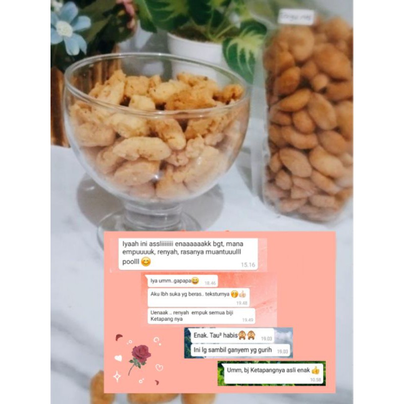 

biji ketapang terigu manis