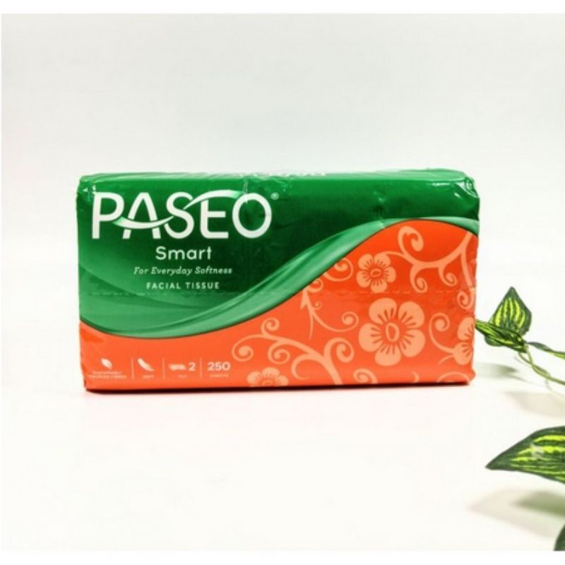 Tisue Paseo ll Tisu Besar  ll Tisu Paseo 250 Sheet
