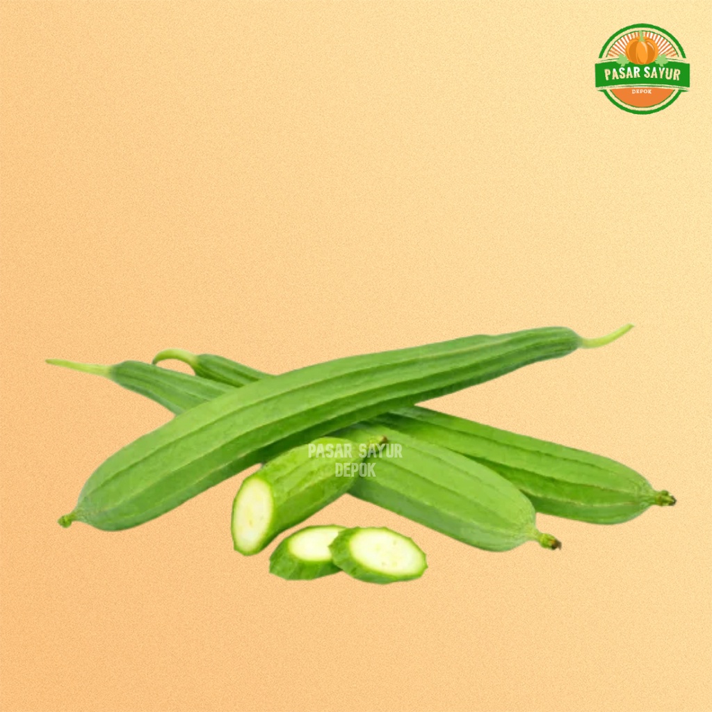 

Oyong fresh 500 gram murah segar dan lengkap