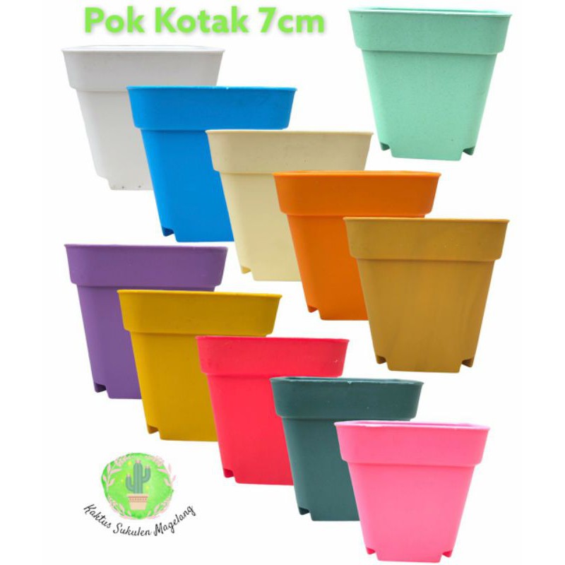 Pot Kaktus Mini Kotak Warna Warni 8cm