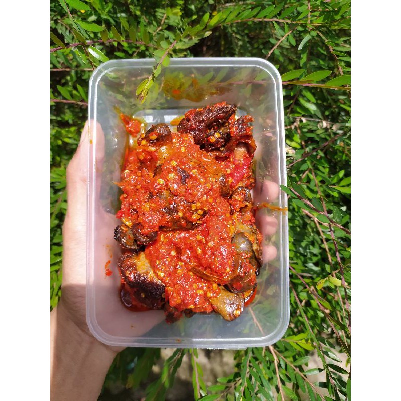 

Ati Ampela Balado (Bisa Vakum)