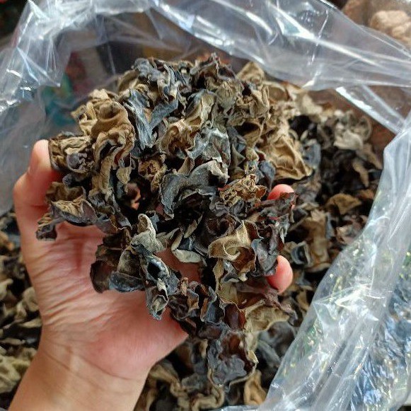 

Jamur Kuping Hitam / Jamur Kuping Import / Dried Black Fungus / Makje / Mukmi / Bokni / Bokji
