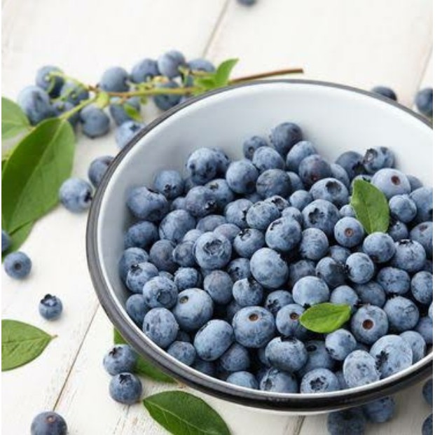 

Blueberry USA Frozen Beku IQF Blueberries 1kg 1000gram Grade A