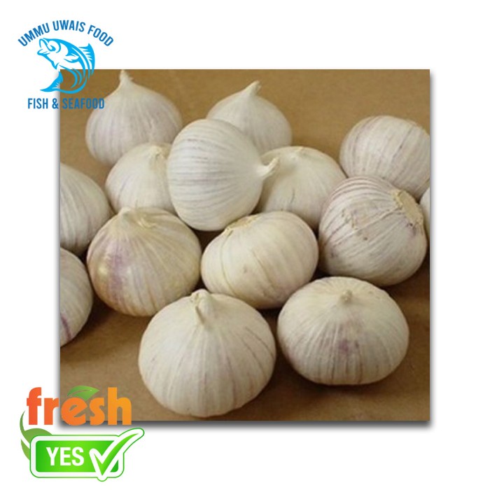 

Bawang Tunggal - 250 Gram