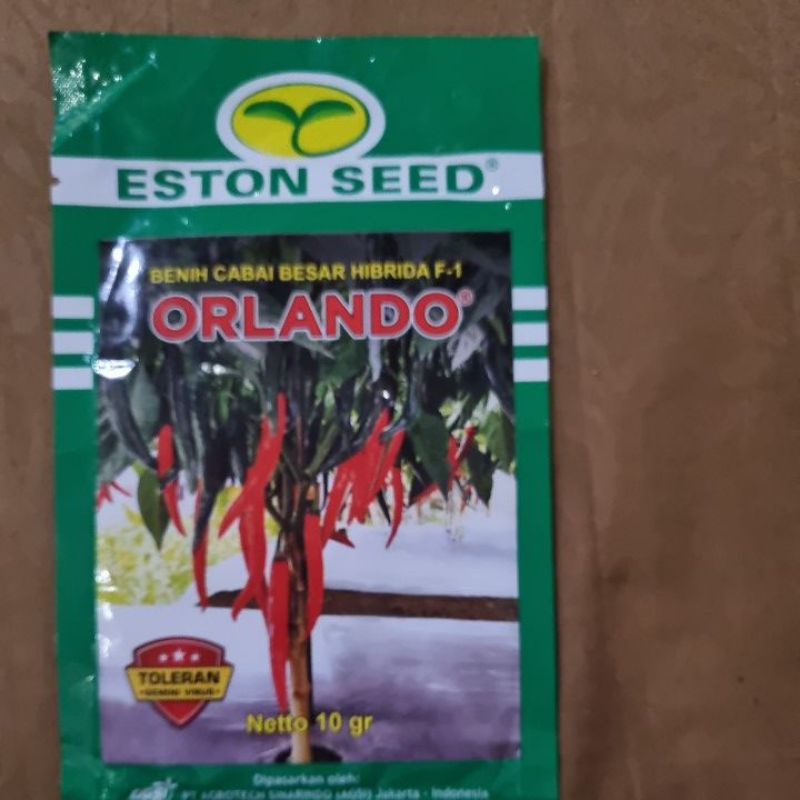 Benih Cabai Besar F1 Hibrida Orlando