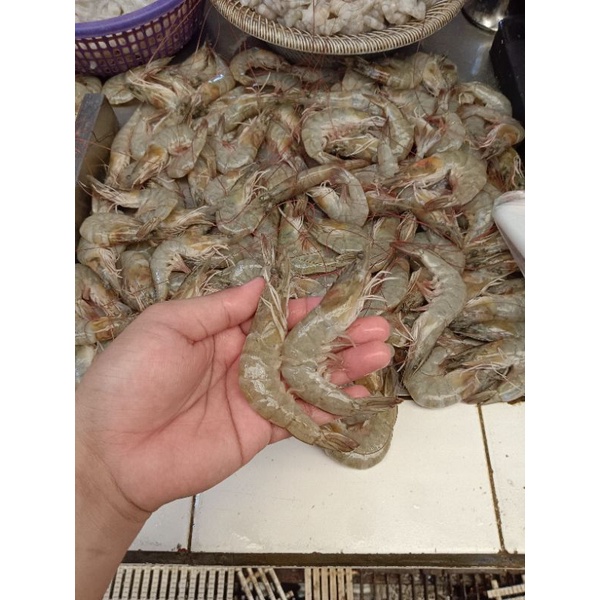 

Udang vaname sedang size 50/55