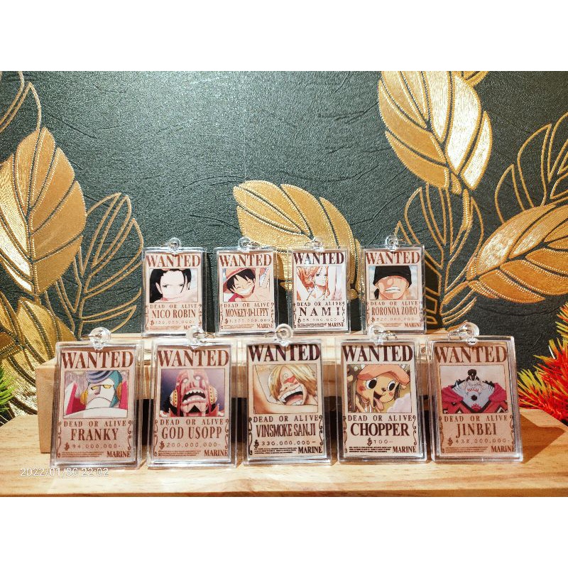 GANCI BOUNTY ONE PIECE