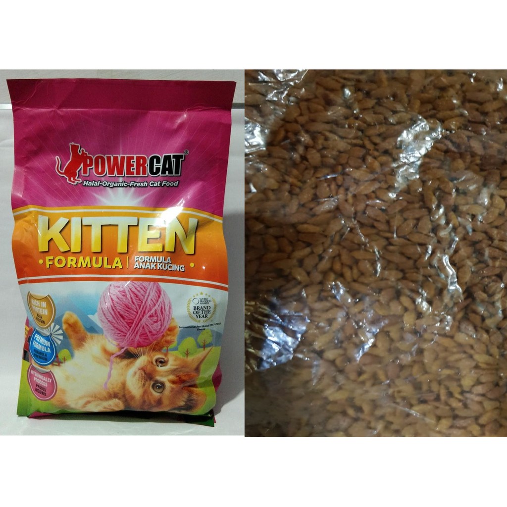 GOJEK power cat 8kg kitten makanan kucing 8 kg catfood cat food