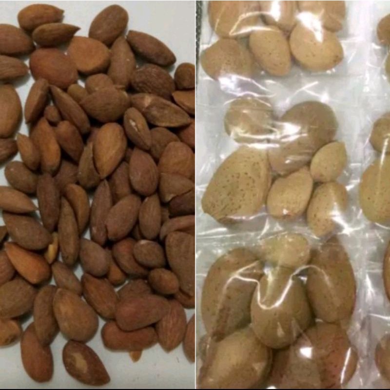 

Ketapang Aceh Kupas dan belum kupas 10 - 40 gram