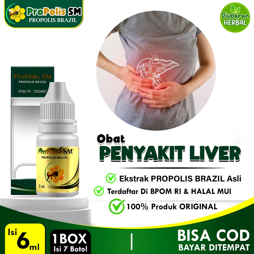 Obat Penyakit Liver - Hati Propolis SM Original 6ml Propolis Brazil