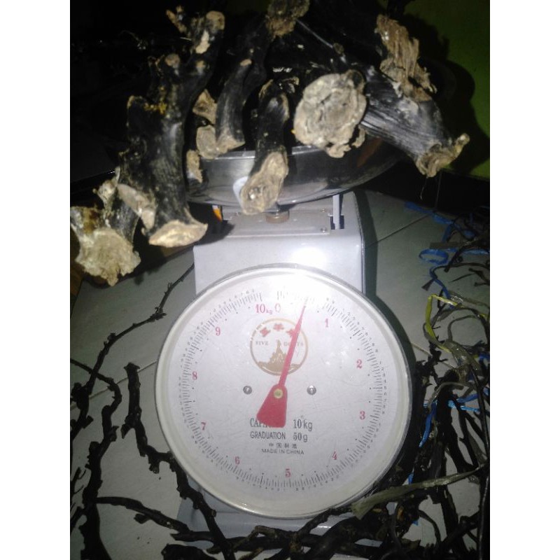 AKAR BAHAR HITAM 1/2KG(SETENGAH KILO)