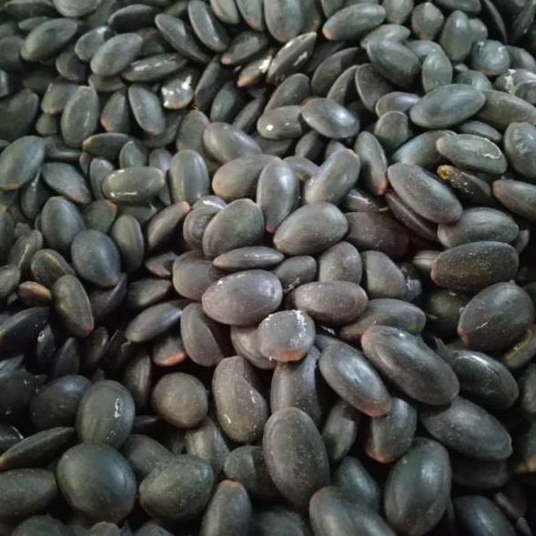 

『8.8 COD』 Biji Kedaung Kering 1kg - Biji Kedawung Kering !