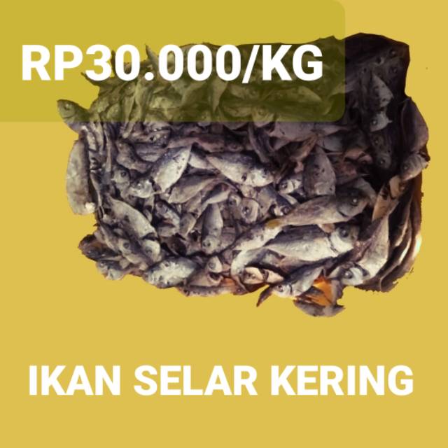 

Ikan Selar Kering