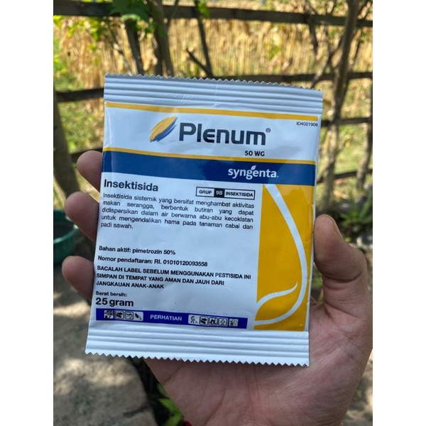 Plenum 50wg 25 gram