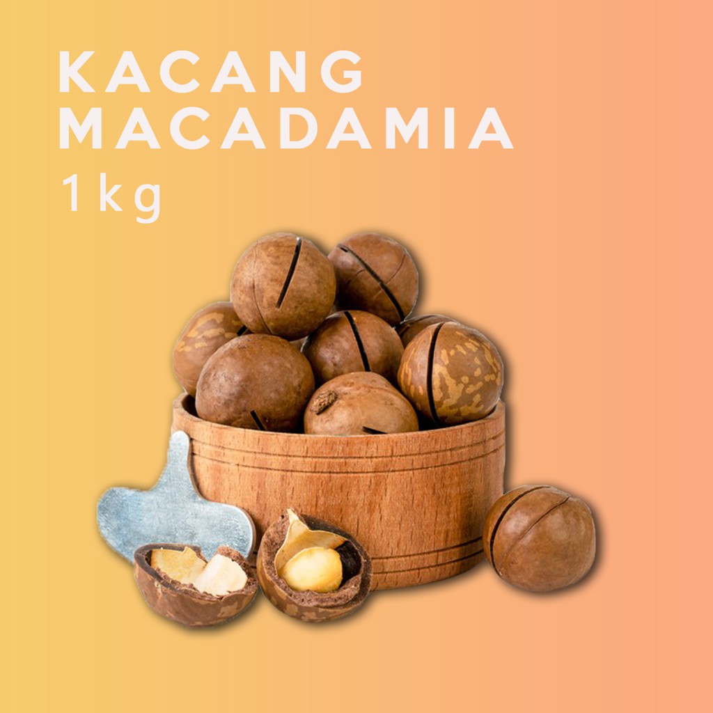 

Kacang Macadamia Panggang Creamy 1kg