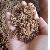 

Tiwul / Nasi Singkong (500 gram)