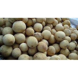 

Buah Duku Palembang Manis Segar