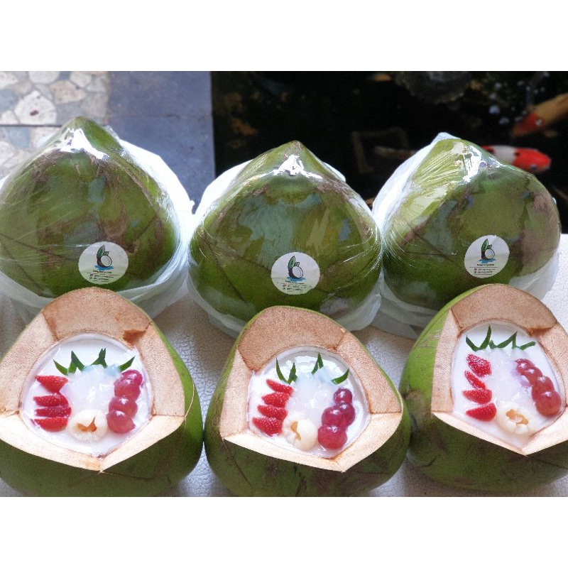 Jual Puding Kelapa Utuh / Puding Degan / Coconut Jelly / Puding Degan ...