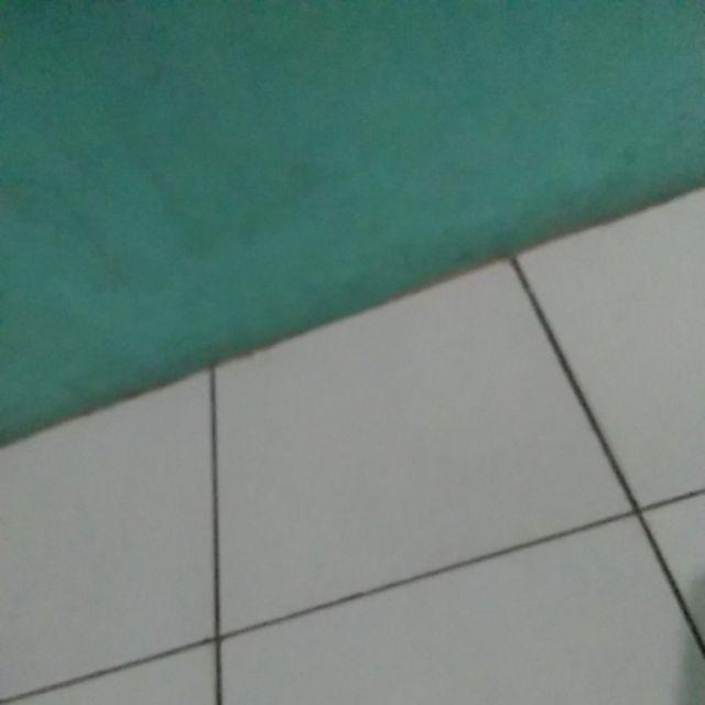 Tempat Sikat Gigi Kumbang Lady Bug Organizer Odol Tooth Brush Holder