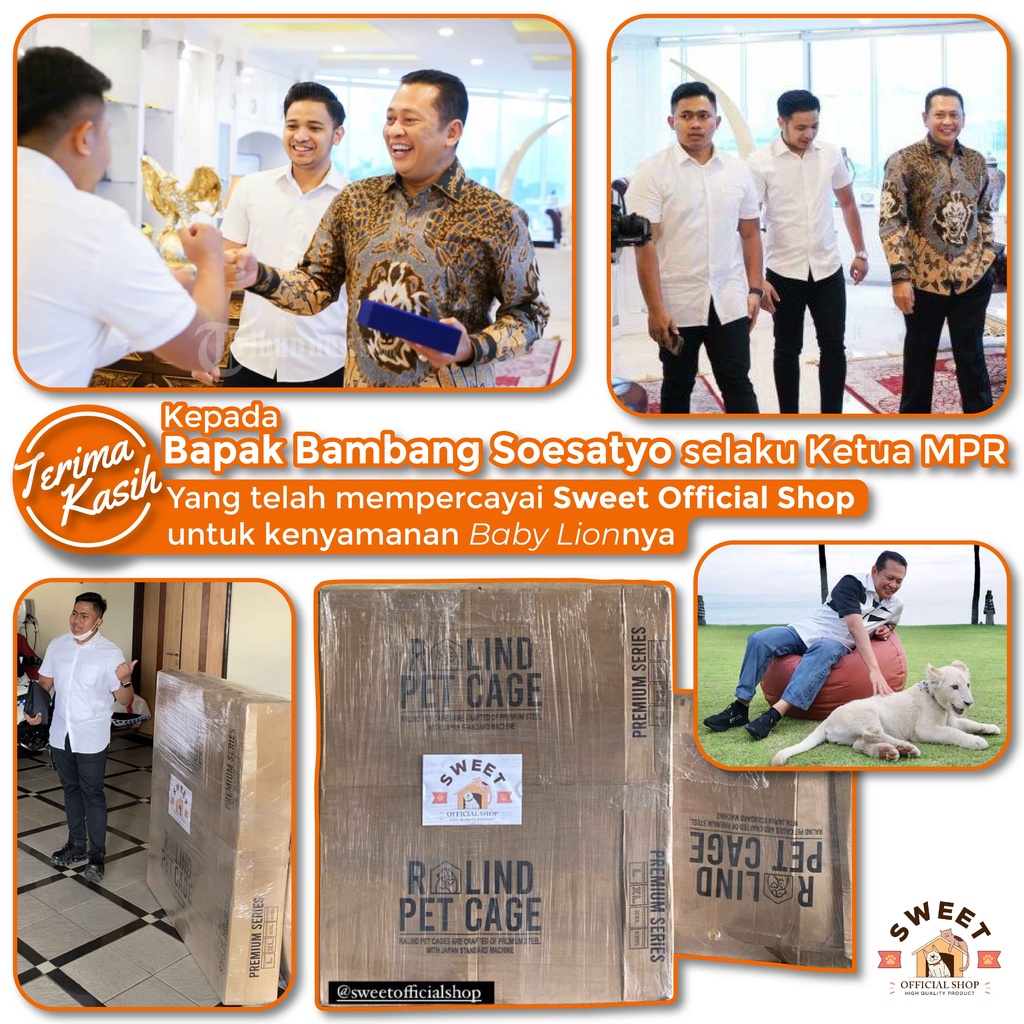 KANDANG KUCING BESI LIPAT SIZE M 40x30x30 -VALUE SERIES- IMPORT HIGH QUALITY - BEST PET CAGE KELINCI-3