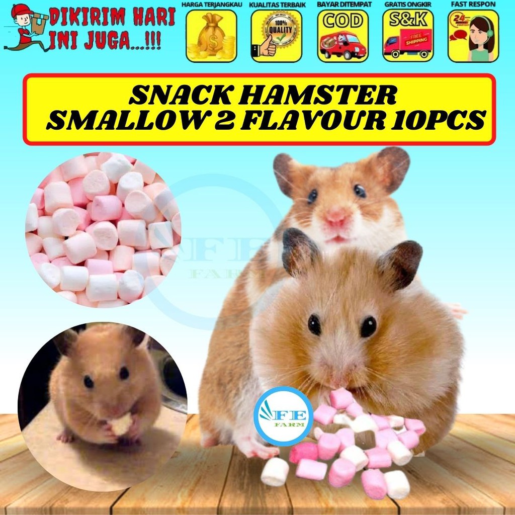 MAKANAN HAMSTER SUGAR GLIDER SNACK HAMSTER SUGAR GLIDER KELINCI FEFARM