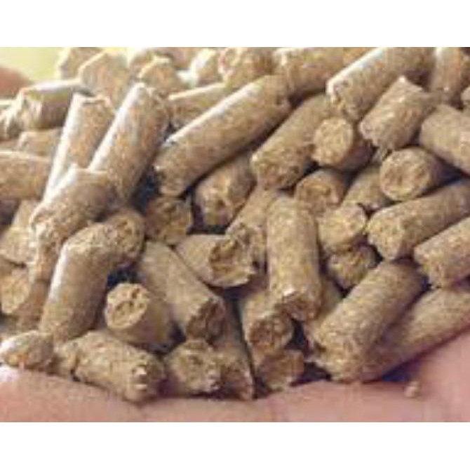 Ready Pelet Babi Musang Tikus Pemakan Omnivora Pemakan Hewan Dan