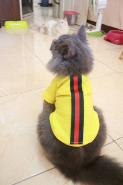 Kaos kuning strip merah untuk kucing &amp; anjing /Jual Baju Kucing Terlengkap &amp; Berkualitas size S-XL