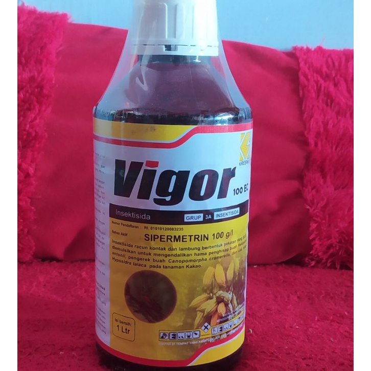 VIGOR 1 L