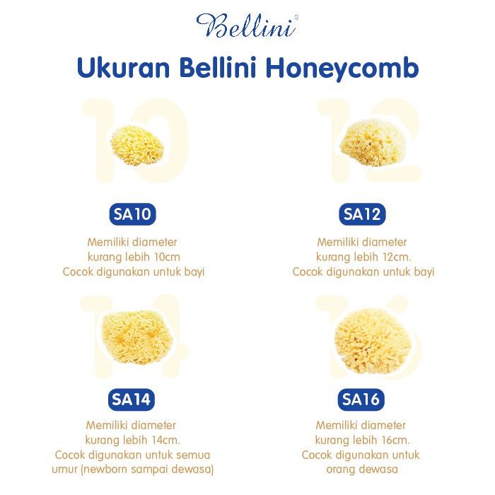 Bellini Natural Sea Sponges Honeycom - Sponge Mandi Bayi