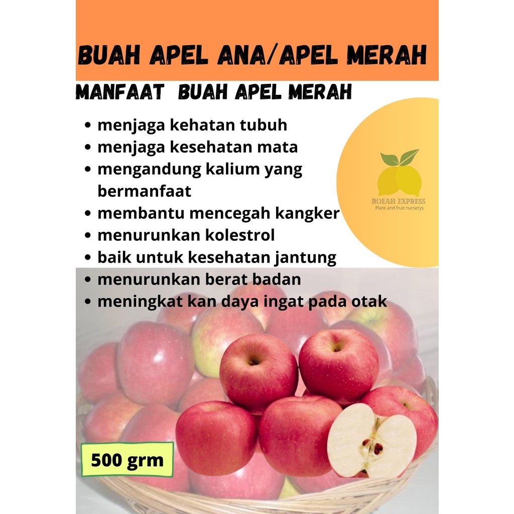 

Buah apel roombeuty/apel ana/apel malang