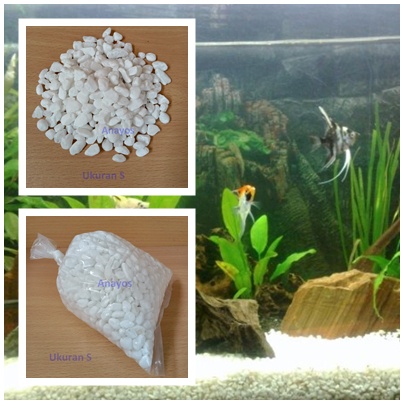 Batu Koral Salju Putih Hiasan Tanaman 1000 Gram Aquarium Aquascape - S