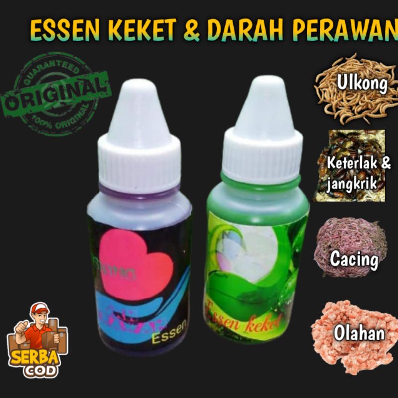 ESSEN DARAH PERAWAN & KEKET
