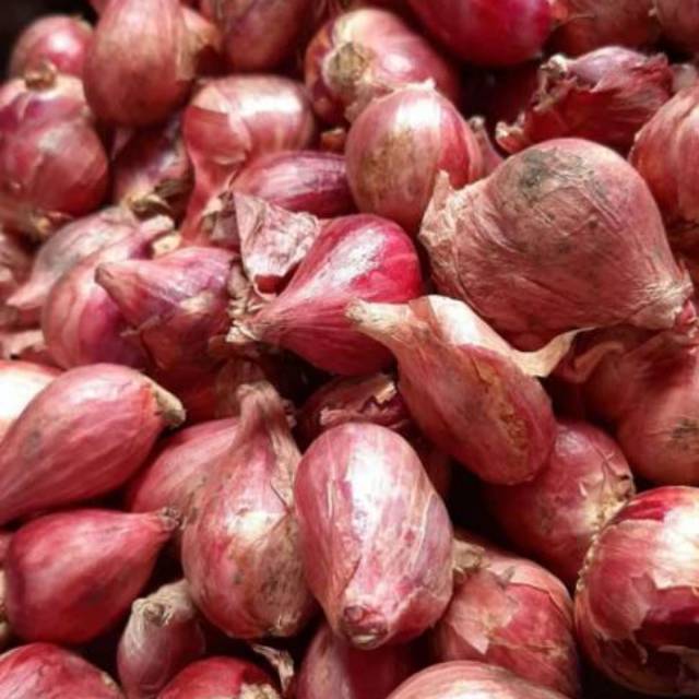 

bawang merah brebes super