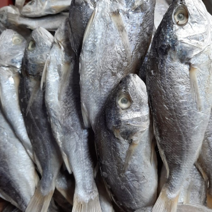 

ikan asin kepala batu medan 1 kg