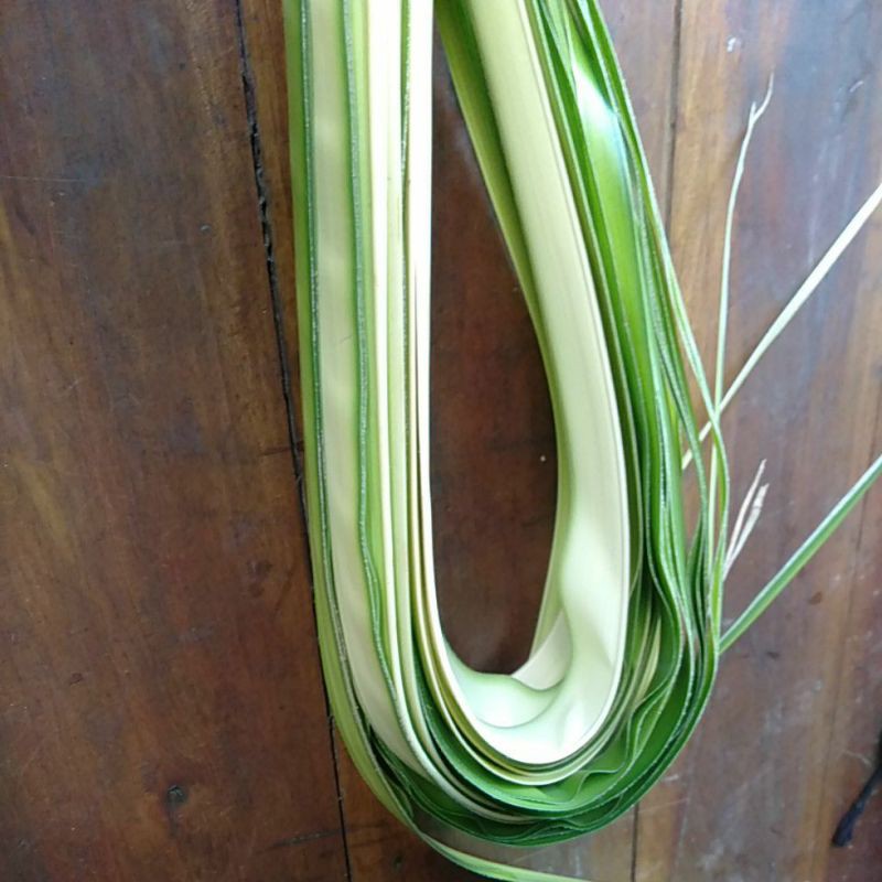 

Daun Janur Kelapa muda seikat 20 helai