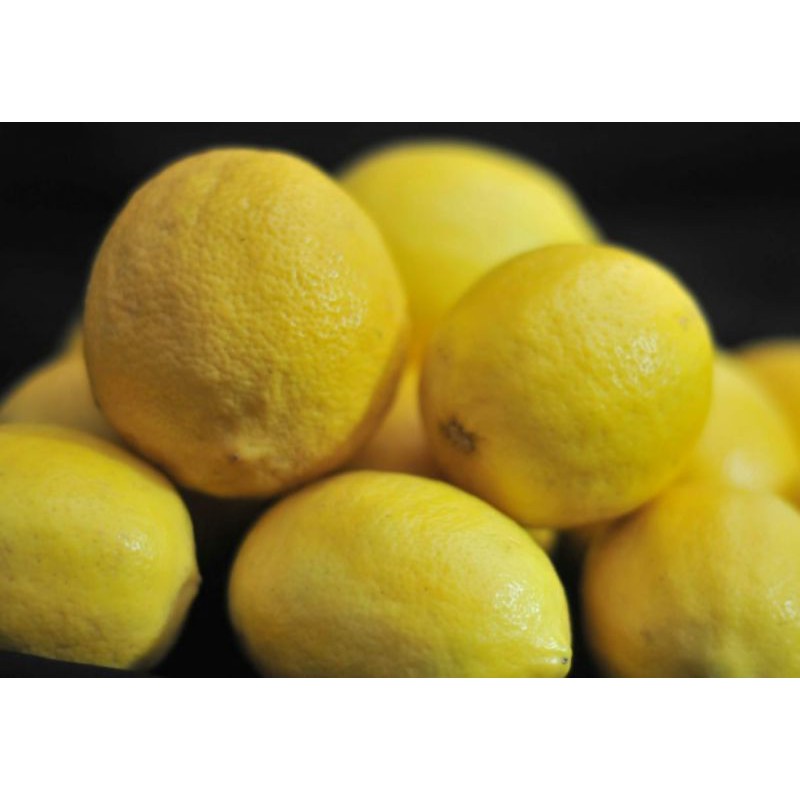 

BUAH LEMON CALIFORNIA fresh Grade ABC super 1kg (MUTIARA LEMON)