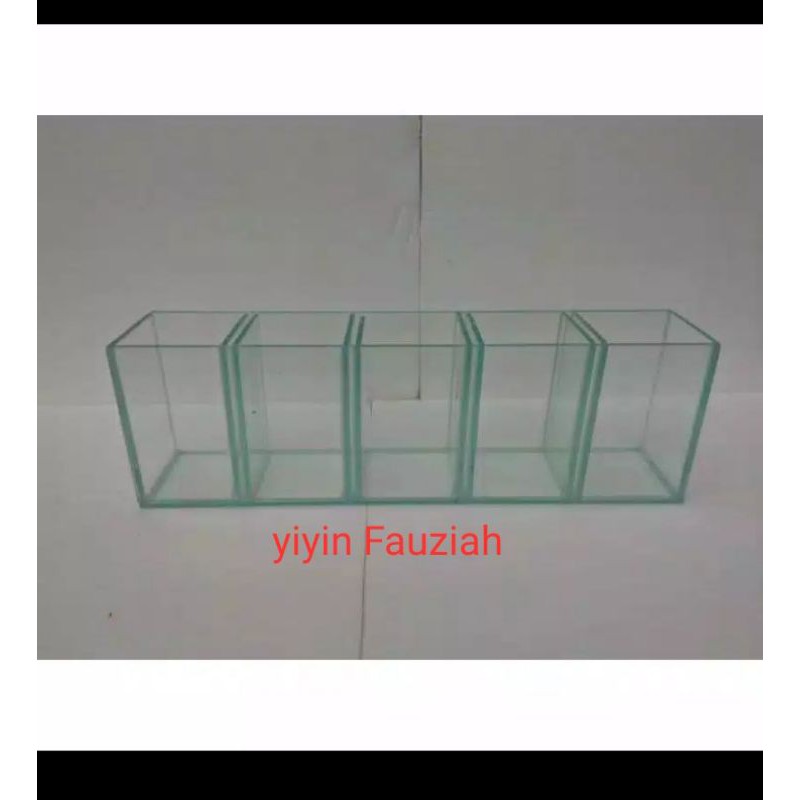 Soliter cupang soliter sekat 5 soliter lubang 5 aquarium cupang plus peking busa