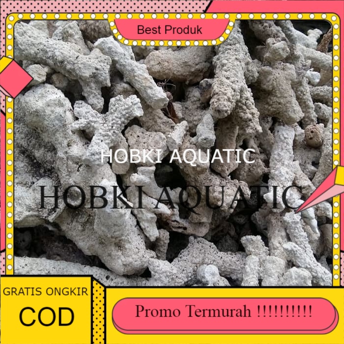 Batu Karang Aquarium karang Jahe 250 Gram