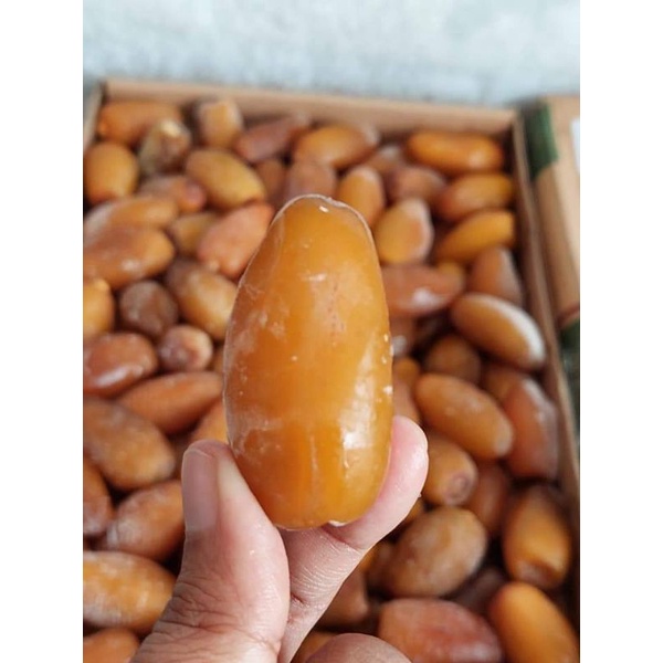 

kurma muda ruhtob untuk promil / kurma libya ruhtab / kurma frozen 5kg