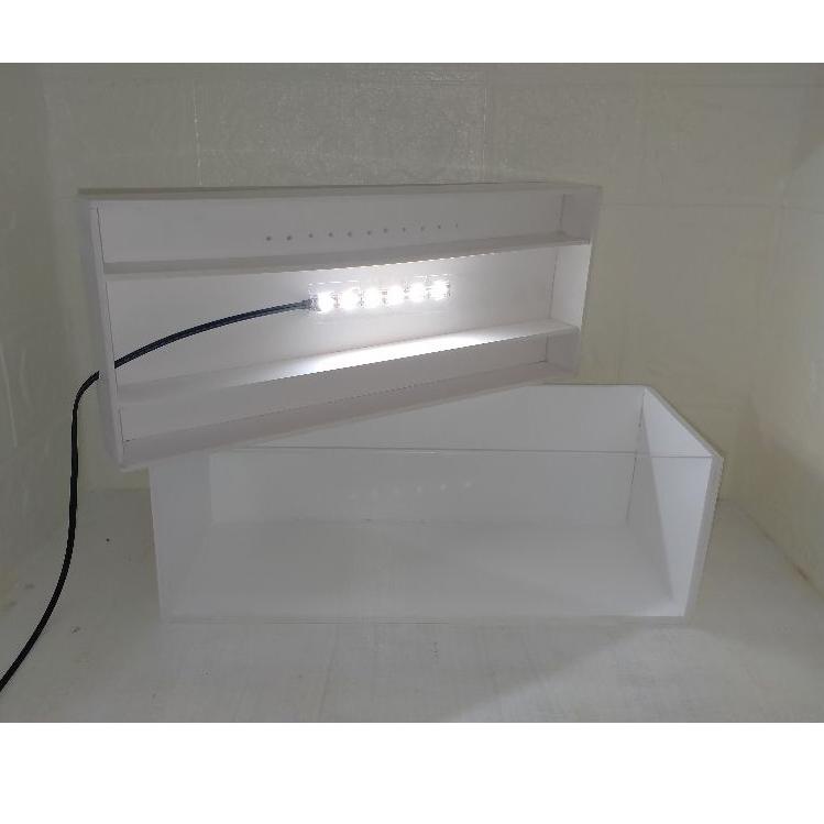 soliter baby chana 3-15 cm/aquarium khusus baby chana/soliter unik baby chana