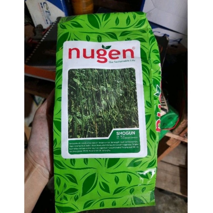 Benih kacang panjang  nugen