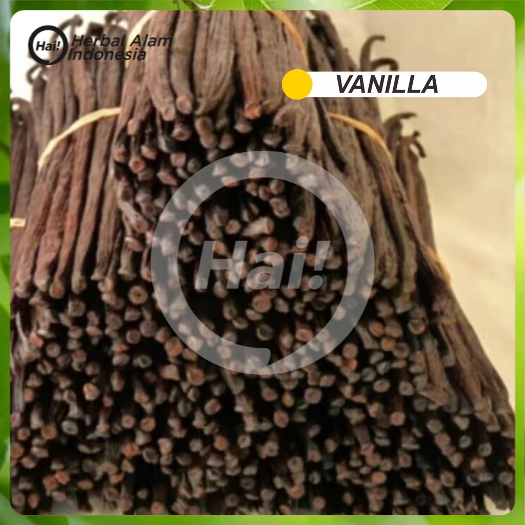 

VANILLA BEAN STICK ORGANIK Per Batang VANILLI VANILI VANILA HAI STORE
