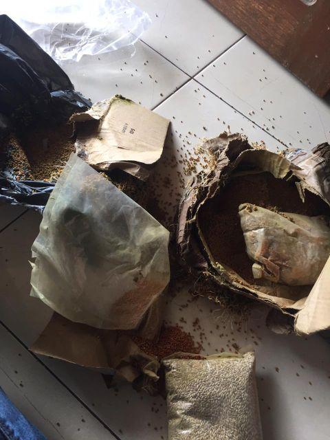 Millet Merah Putih 1kg