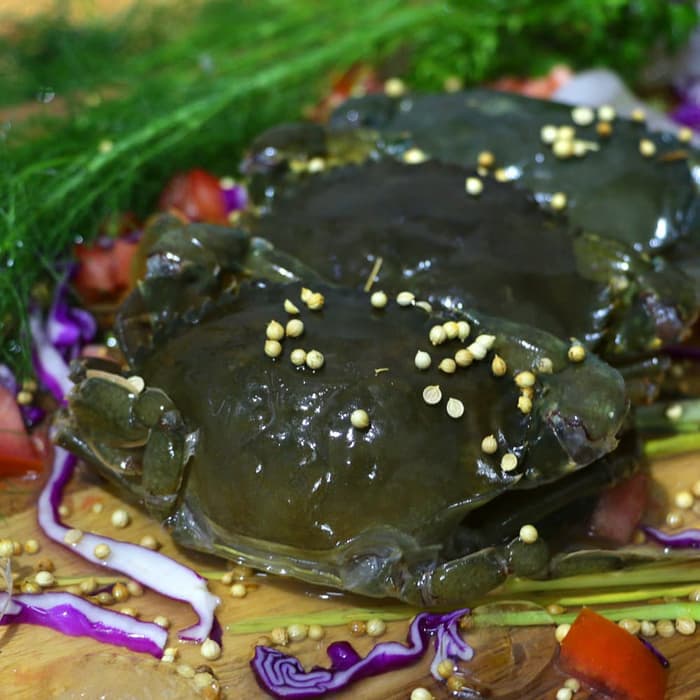 

Kepiting Soka Kualitas Premium