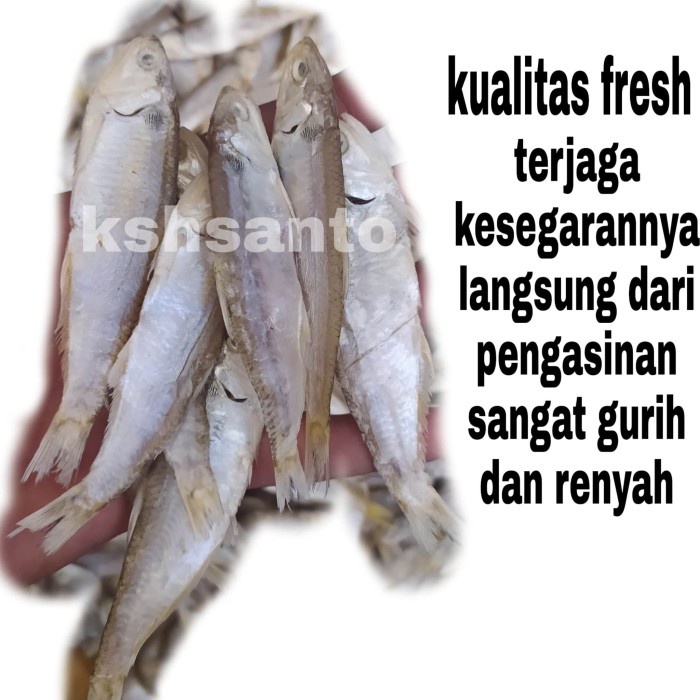 

Q0121Sa Ikan Asin Bilis Cop Super-500Gram D5qs44